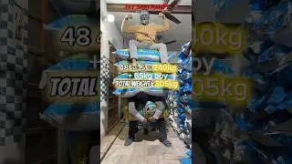wait for end🇮🇳💪🏻 Desi power 305kg weight lifting on back 😱🔥 #trending #shorts #motivation