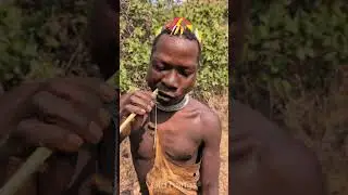 🦷What Was the Toothbrush of Tribes?