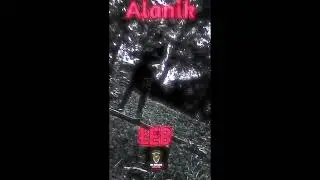 Alanik - łeb [ep Sobięcińska koalicja]