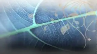 S&oacute;ley - Blue Leaves