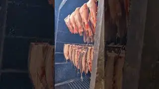 паланга 2025 Visit Litva   - литва  travel guide | Лучшие места латвии в 2025 году