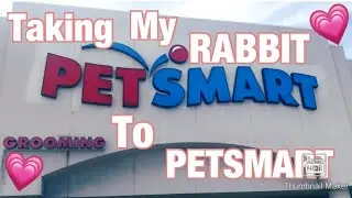 Taking My RABBIT Shopping At PETSMART