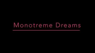 7313 Micro Pigz - Monotreme Dreams (Official Music Video)