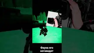 гуляем по кузне #game #игры #stalcraft #stalcraftx #сталкер #gameplay #мем #смешно #shorts #scx #