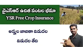 YSR Uchitha Pantala Bheema Eligible List Released - Crop Insurance Eligible List