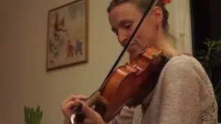 The Ashplant Reel -  Irish Traditional Music with Jennikel Andersson & Svante Kvarnstr&ouml;m