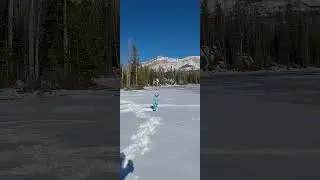 AUSSIE PUPS - NOKI AND NAULI NAJA #australianshepherds #snow #fun #dog #mountains #uintas #outdoors