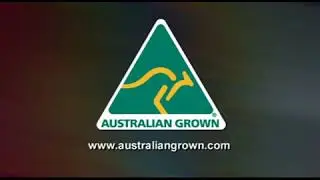 Australian Made Logo Ad (2008) Pasta to Italy