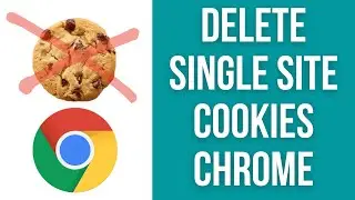 Как удалить файлы cookie только с одного сайта в Chrome