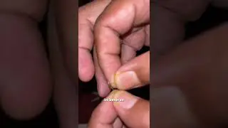 mari belajar mancing namanya juga tk jadi pemula lah