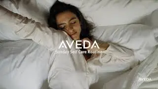 Aveda Hair Routine Nutriplenish Light