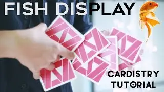 FISH DISPLAY CARDISTRY TUTORIAL INDONESIA