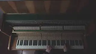 Petting the keys