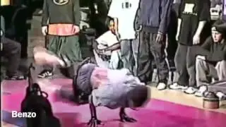Bag Of Trix footage
