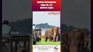 தேனிலவு செல்வதற்கான சிறந்த இடமாக இலங்கை தெரிவு #srilankanews #srilankanewstamiltoday
