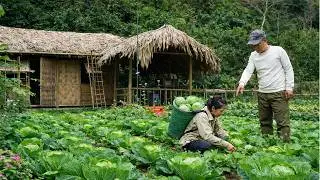 Uncle Ch&uacute;c helps the homeless girl harvest vegetables on his farm to earn an income.