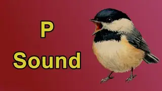 The P Sound Sonnet | Phonemic Awareness Poetry