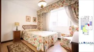 VISITA GUIADA BONN 23