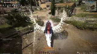 Black Desert Account