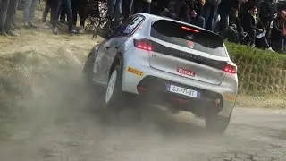 Rally Vigneti Monferrini 2023 / SHOW & Mistakes