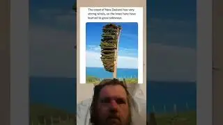 #greenscreenman #mtnman #funnymemes