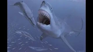 Ocean Rift VR: Hunting the megalodon