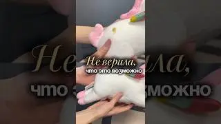 c 12.02 по 20.02 промокод UVK3X28D на 10% ВБ #WW300035 (копируй с WW) и на Озон #1641932840 #уборка
