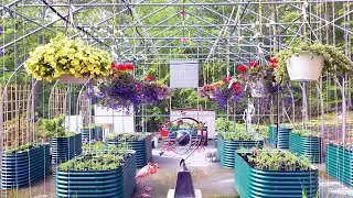 Enclosed, Raised Bed Automated, Vegetable Garden, on concrete, screened in, fully protected. Part20
