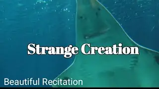 #BeautifulRecitation #StrangeCreature                         |strange creature |