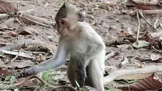 Pitiful poor baby Janet hurt hand and hungry, Janet close mom need mom Warm her