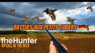 Découverte des BATTUES aux PETITS GIBIERS en ALLEMAGNE ( voyage de chasse )