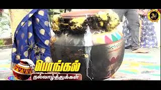 Happy pongal 2025|pongal whatsapp status tamil|Seval Muttai