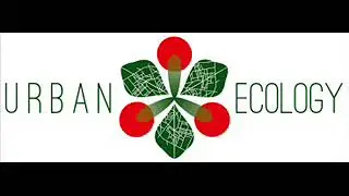 MONCEF OUR GHETTO ECOLOGY NYC SUCCES WORLD