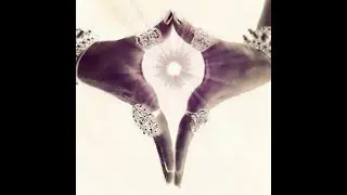 Taurus: August 2020 **Amazing! Blessings On Blessings On Blessings!**