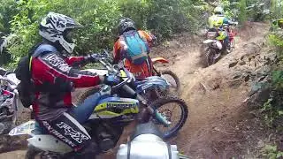 Colazo Raicero 2018