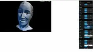 LightWiki WEBGL RAW INTERFACE ...