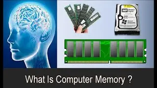 Computer Memory & its Type | कंप्यूटर मेमोरी क्या है और इसके प्रकार I Computer Class _Tutorials 08