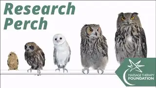 Massage Therapy Program at Blessing Hospital Part One [Research Perch]