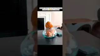 Brown Cat vs. Round Glass Bowl Challenge! 🐱🤣cat in fishbowl