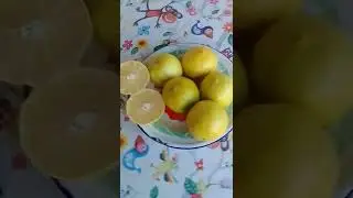 Temporada de limas