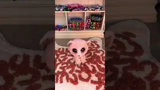 MY BEANIE BOOS!!!!#collector#nostalgia#beanieboos