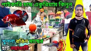 খুলনা রঙিন মাছের হাট নয়াবাটি aquarium fish price ni Bangladesh রঙিন মাছের দোকান fish price #foryou 