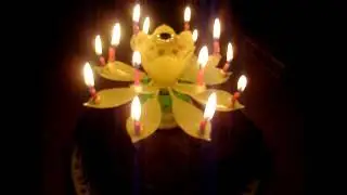 Happy Birthday to Me!  Surprise Sparkler Flower Candle!!