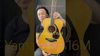 ЛУЧШАЯ ГИТАРА С МАЛЫМ КОРПУСОМ &mdash; Yamaha LS16M Mahogany @yamahajp