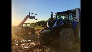 ☆☆Prasowanie i zbiór słomy 2019 II New Holland T7.230 II U nas na roli ☆☆