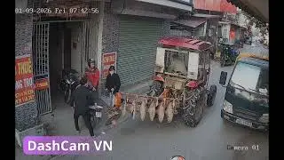 5 Shocking Traffic Moments CAUGHT on Camera. Dashcam vietnam
