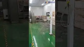 Continuous cashew nut roaster/Belt type Roaster/ cashew nut oven/ cashew nut baker