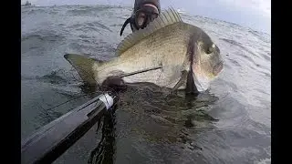 Pesca in apnea - Oratona 3kg