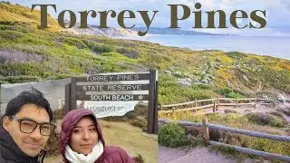 Torrey Pines State Natural Reserve, San Diego C.A.