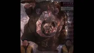 Omnipig